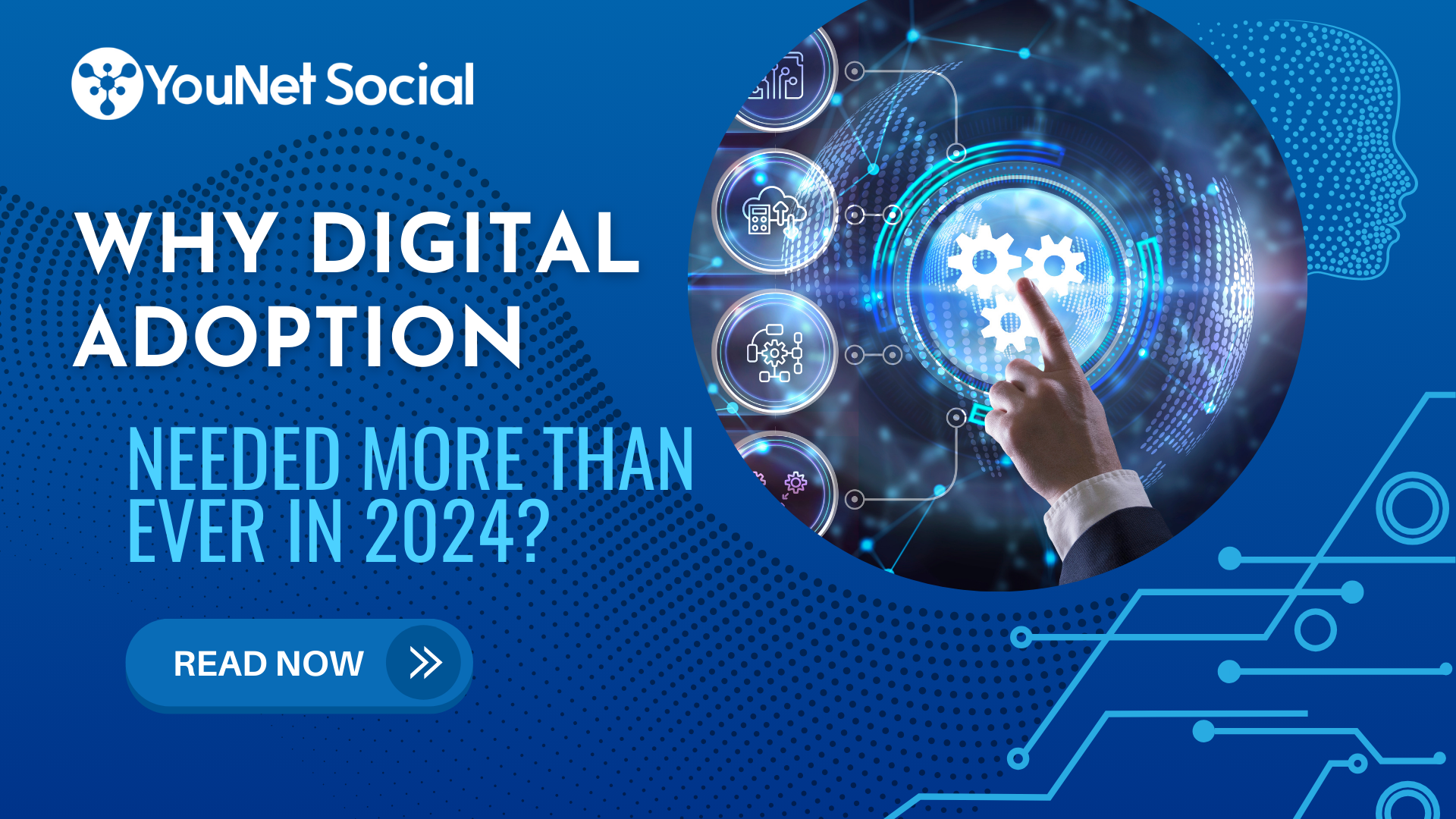 Why is digital adoption needed for business in 2024?